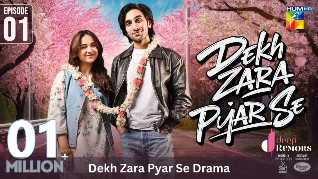 Dekh Zara Pyar Se Drama, Cast